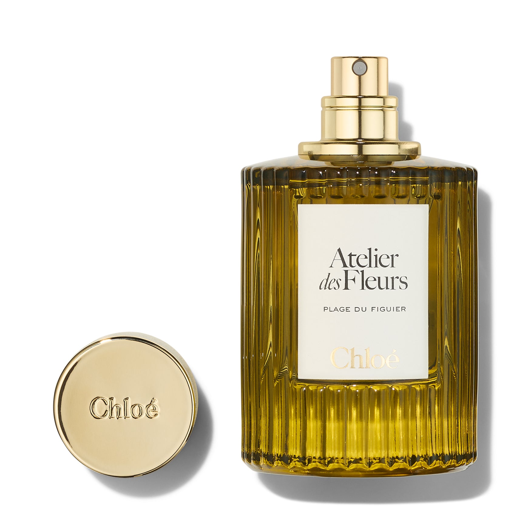 Chloé Atelier des Fleurs Plage du Figuier EDP
