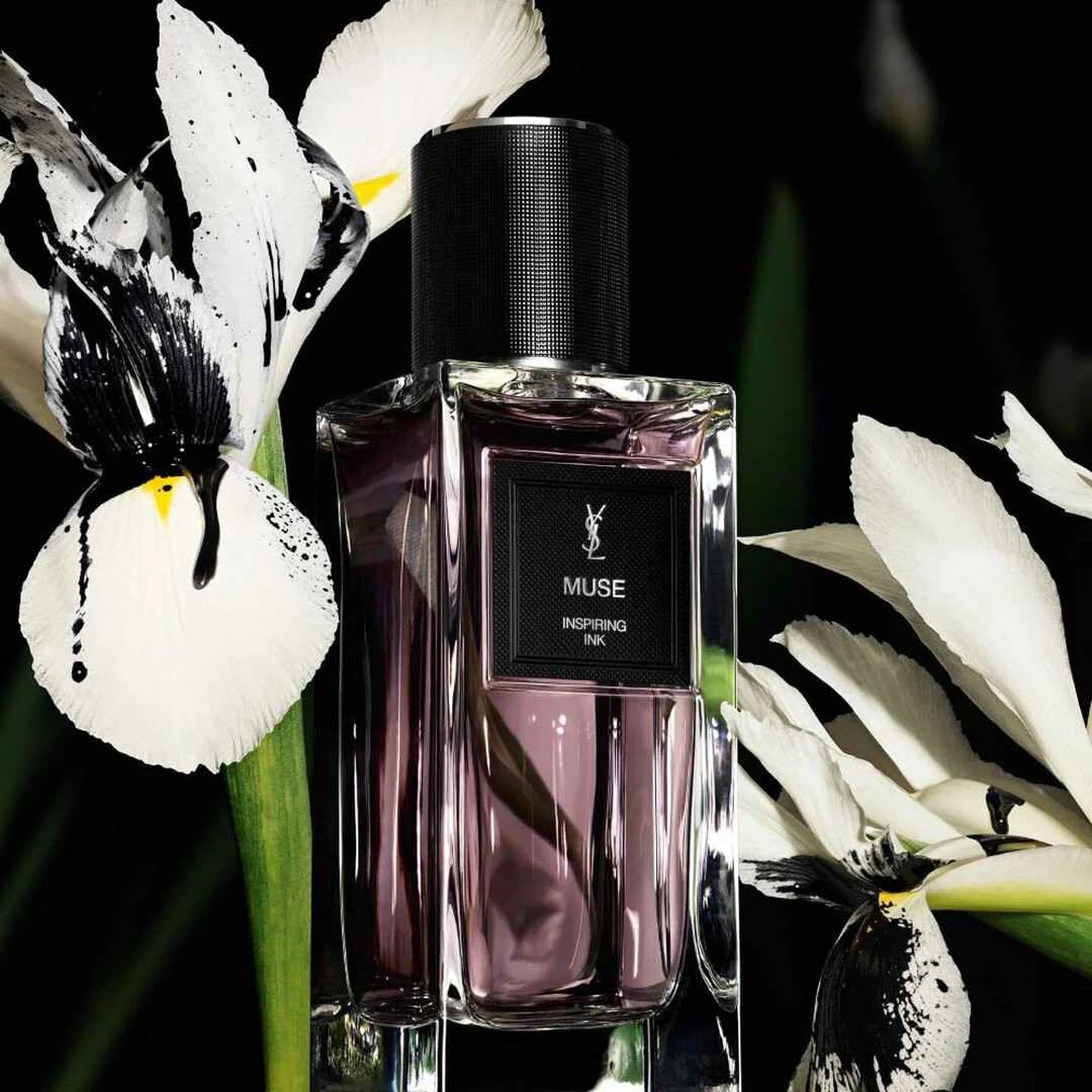 Muse - YSL