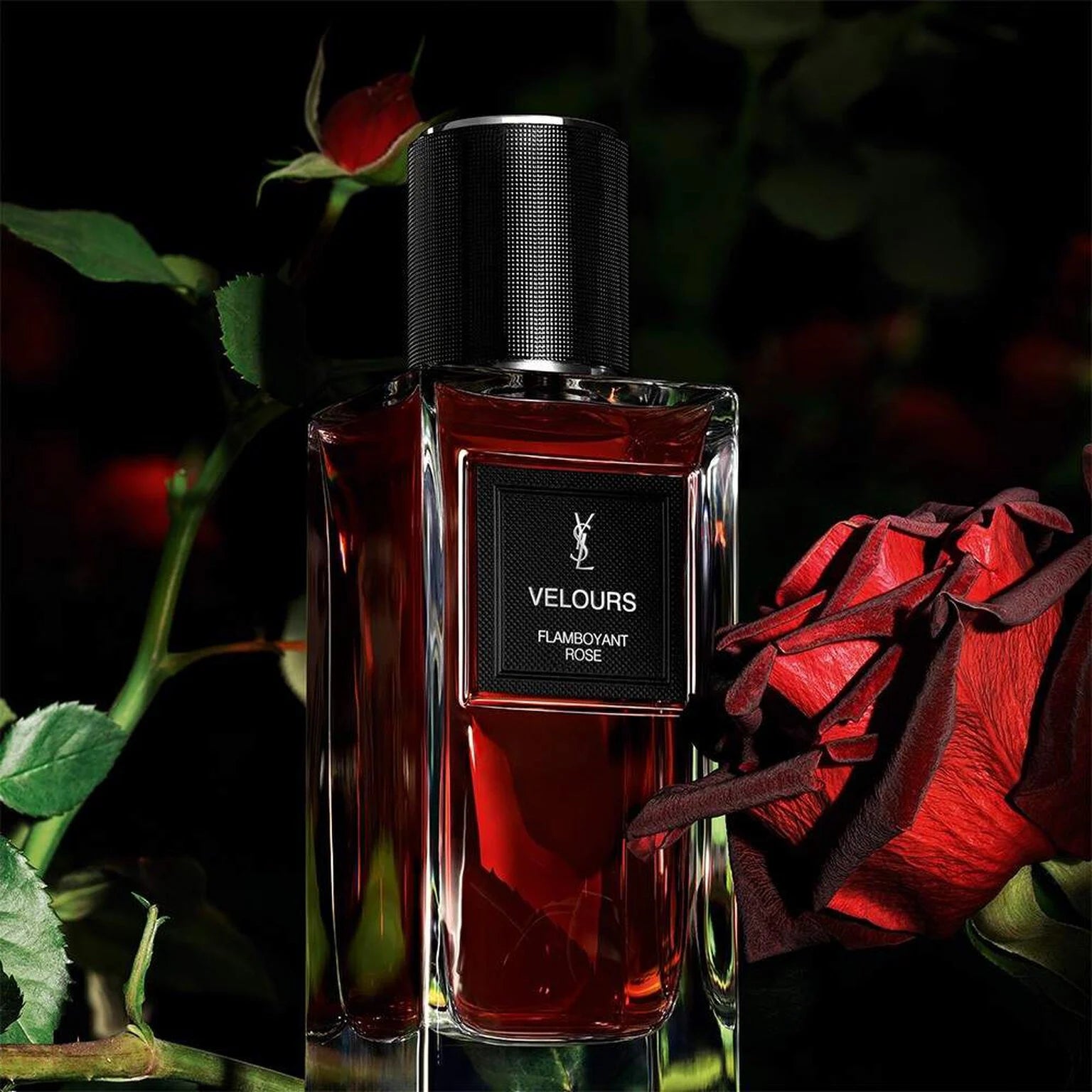 Velours by YSL