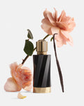 Vanille Rouge by Versace Decant