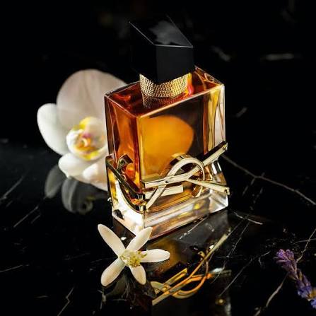 YSL — Libre EDP